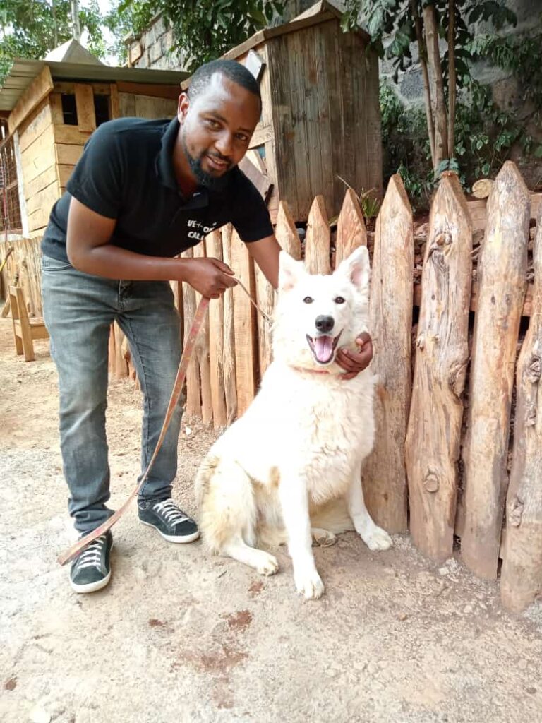 Vet On Call - Veterinary Practice